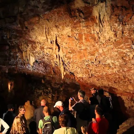 アパート Rossa ポレッチ